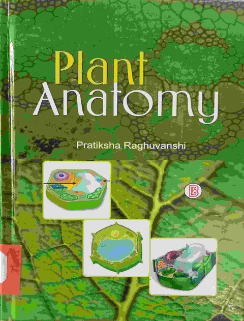 Plant Anatomy